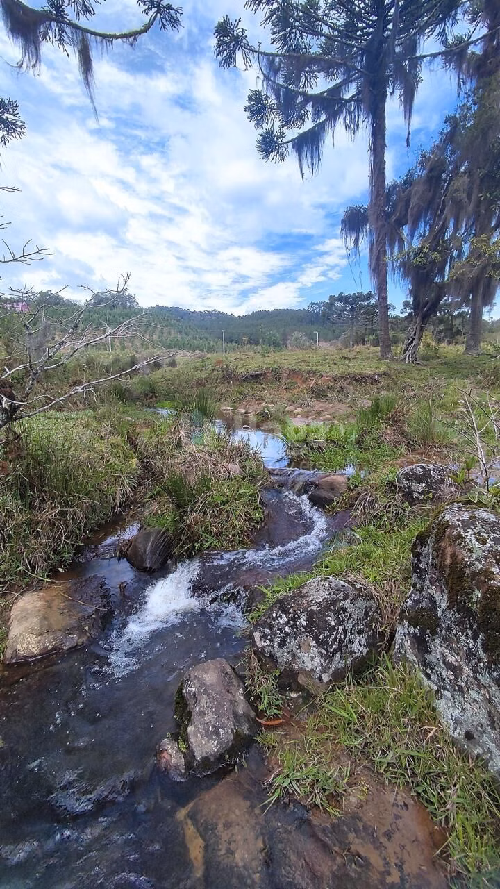 Fazenda de 75 ha em Major Gercino, SC