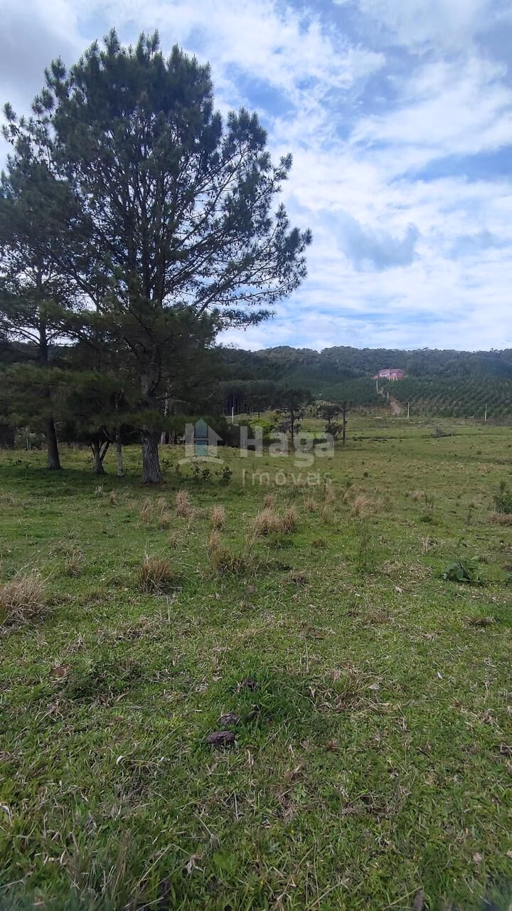 Fazenda de 75 ha em Major Gercino, SC
