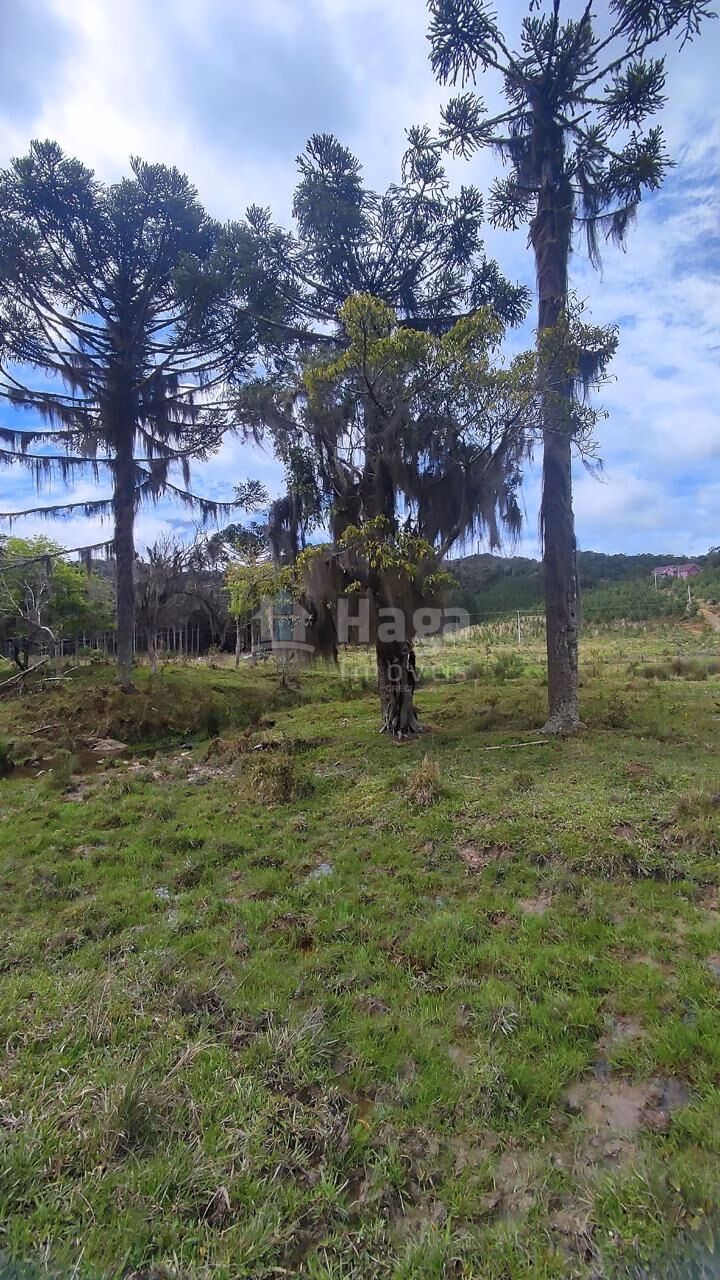 Fazenda de 75 ha em Major Gercino, SC