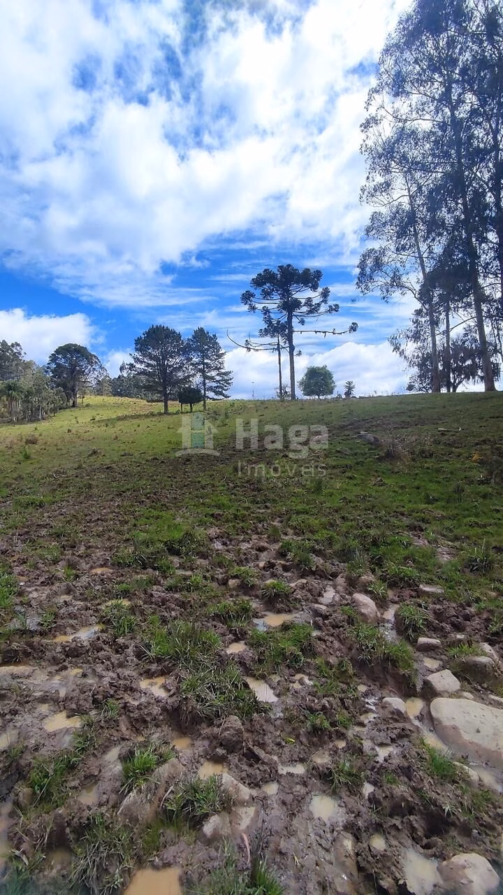 Fazenda de 75 ha em Major Gercino, SC