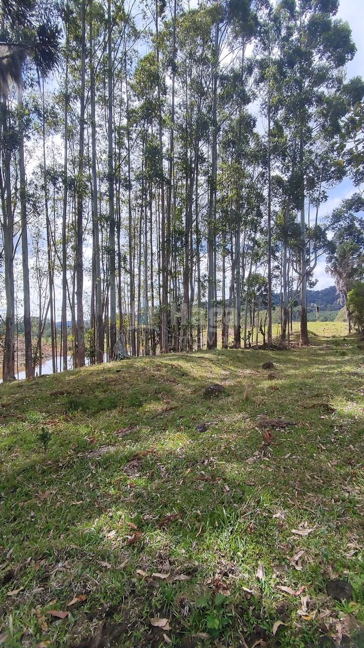 Fazenda de 75 ha em Major Gercino, SC