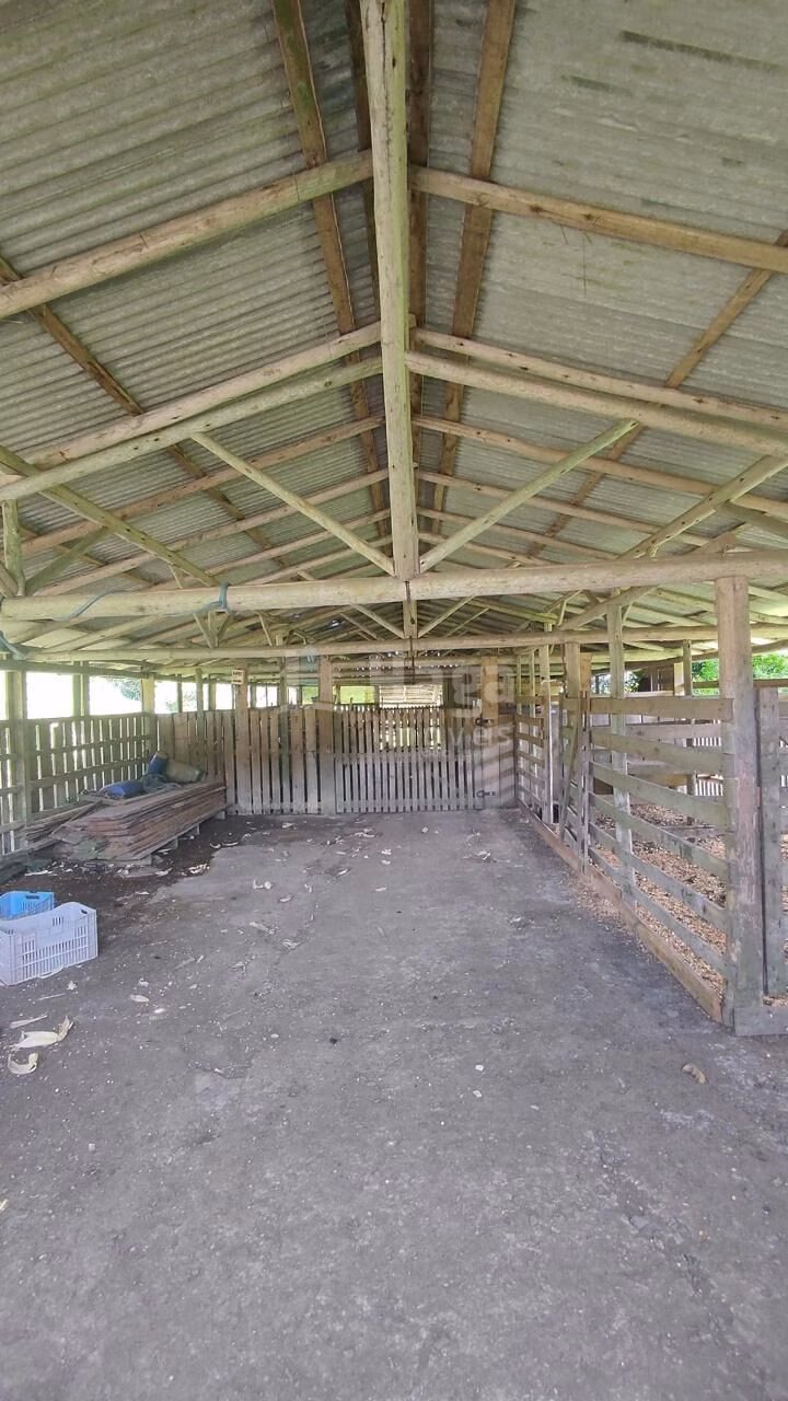 Fazenda de 75 ha em Major Gercino, SC