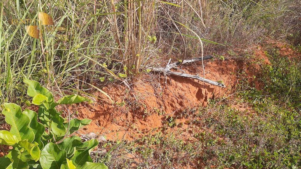 Fazenda de 1.000 ha em Chapada dos Guimarães, MT