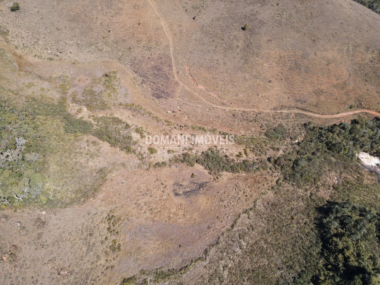 Plot of 24 acres in Campos do Jordão, SP, Brazil