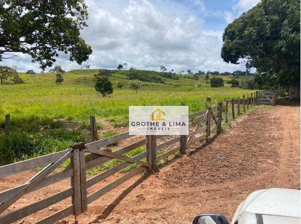 Fazenda de 1.094 ha em Araguaína, TO