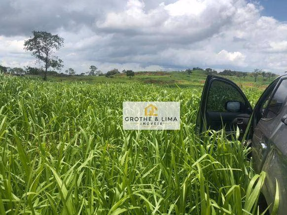 Fazenda de 1.094 ha em Araguaína, TO