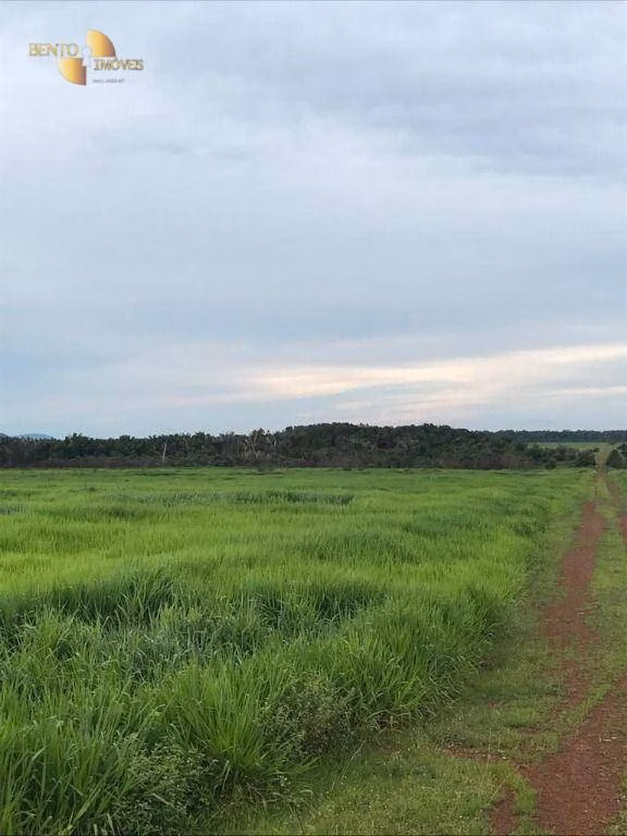 Fazenda de 20.303 ha em Vila Rica, MT