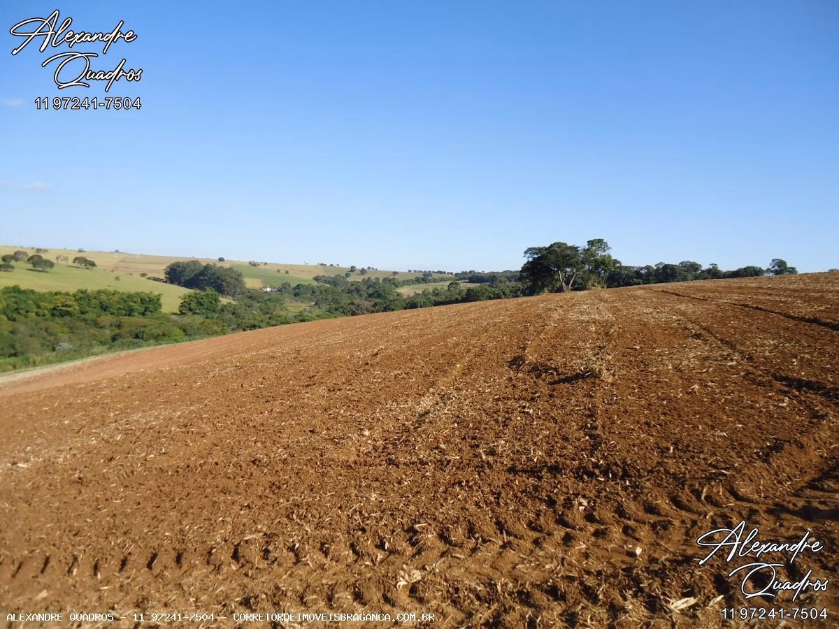 Bragança Paulista, SP में 60 ha का खेत बिक्री के लिए