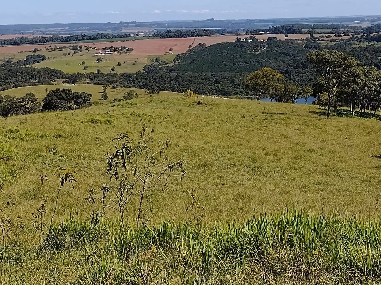 Fazenda de 102 ha em Angatuba, SP