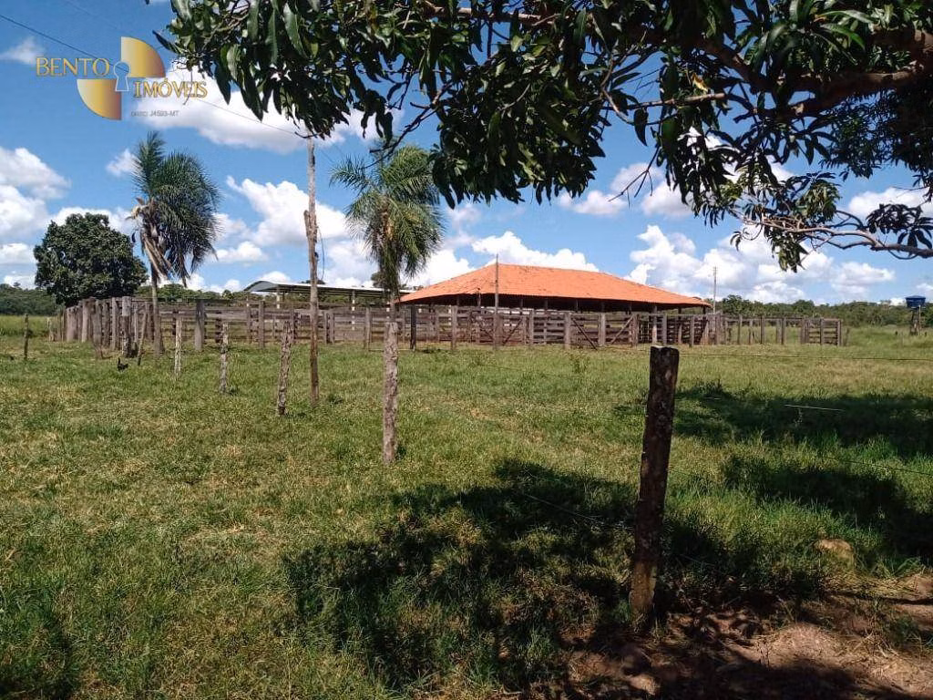 Fazenda de 635 ha em Nova Xavantina, MT