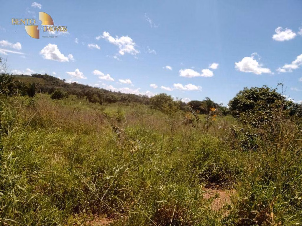 Fazenda de 635 ha em Nova Xavantina, MT