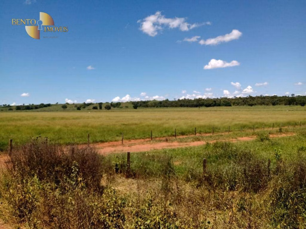 Fazenda de 635 ha em Nova Xavantina, MT