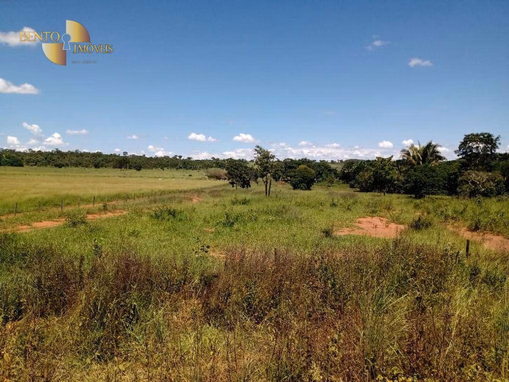Fazenda de 635 ha em Nova Xavantina, MT