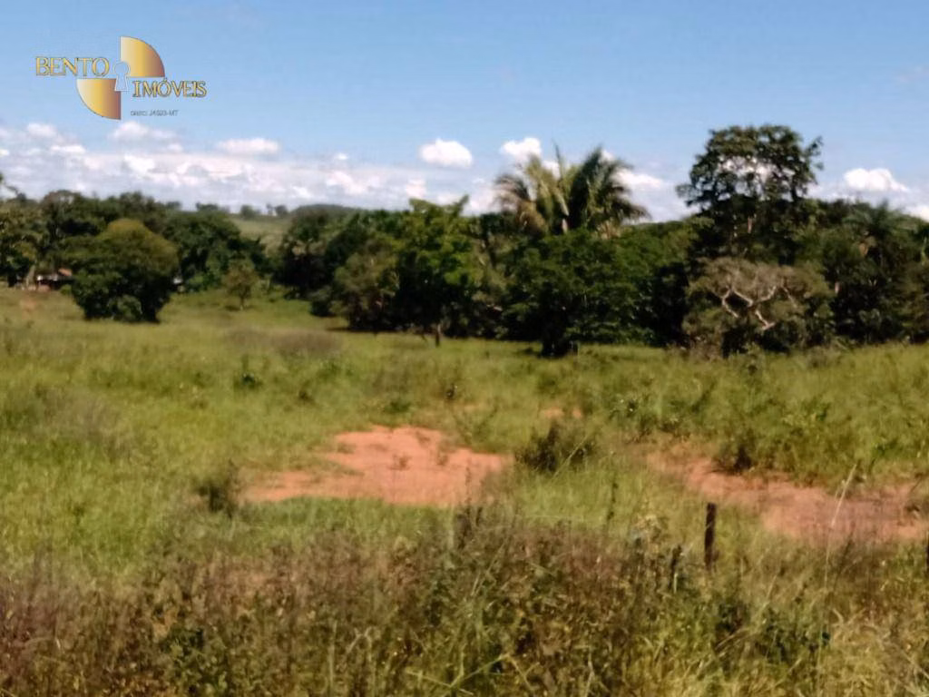 Fazenda de 635 ha em Nova Xavantina, MT