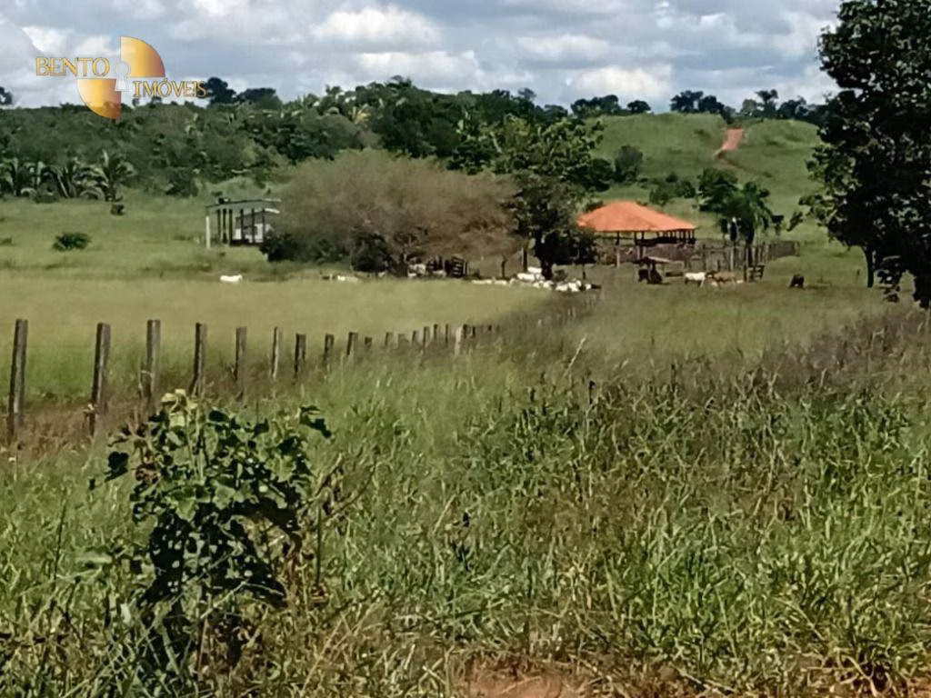 Fazenda de 635 ha em Nova Xavantina, MT