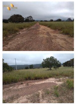 Small farm of 20 acres in Cáceres, MT, Brazil