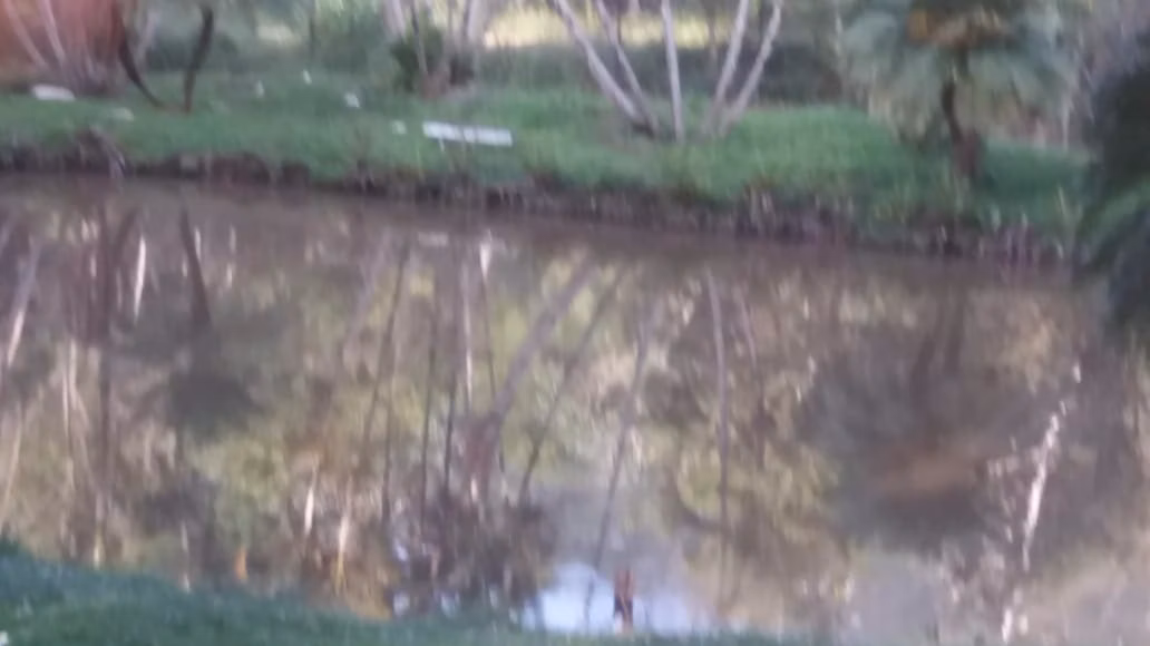 Chácara de 7.234 m² em Monteiro Lobato, SP