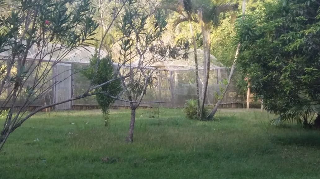 Chácara de 7.234 m² em Monteiro Lobato, SP
