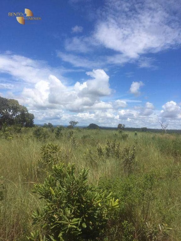 Fazenda de 2.300 ha em Novo São Joaquim, MT