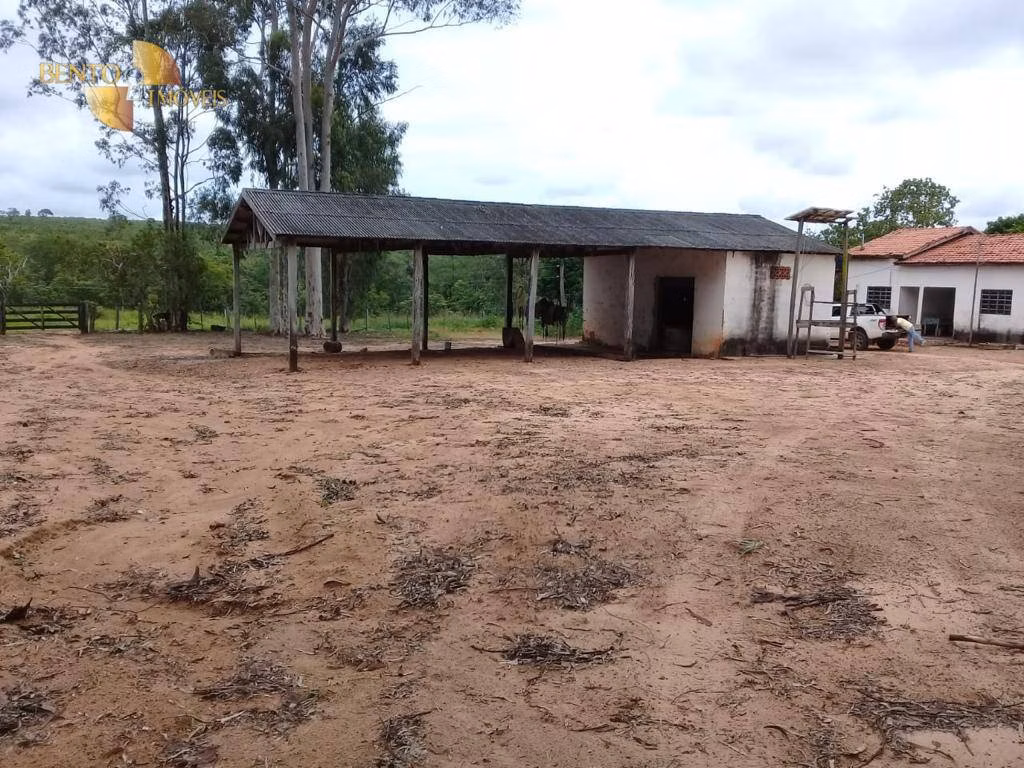 Fazenda de 2.300 ha em Novo São Joaquim, MT