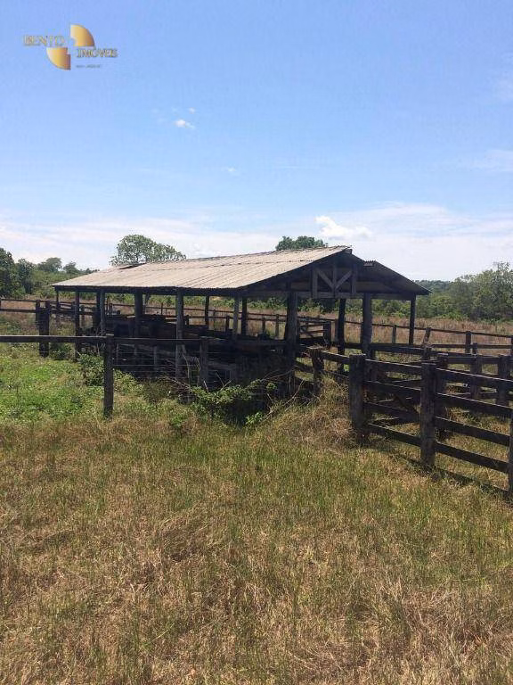 Fazenda de 2.300 ha em Novo São Joaquim, MT