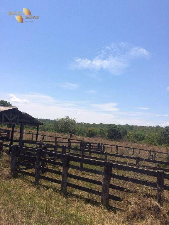 Fazenda de 2.300 ha em Novo São Joaquim, MT