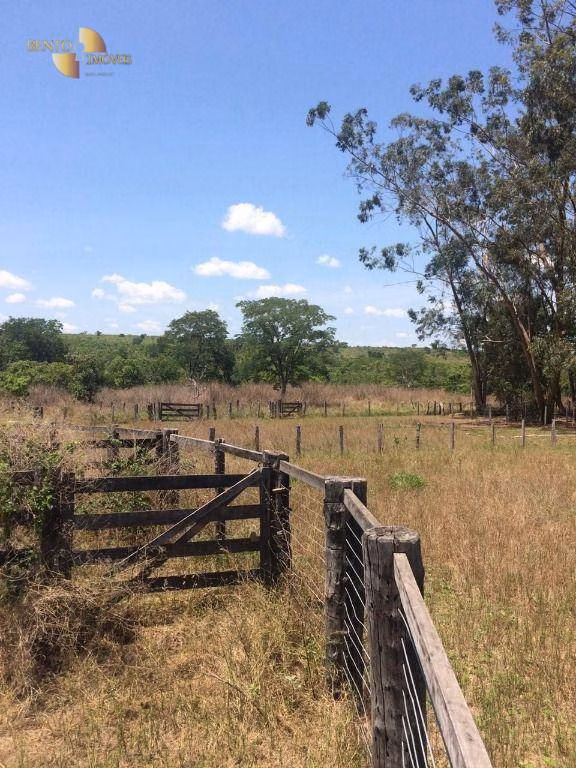 Fazenda de 2.300 ha em Novo São Joaquim, MT
