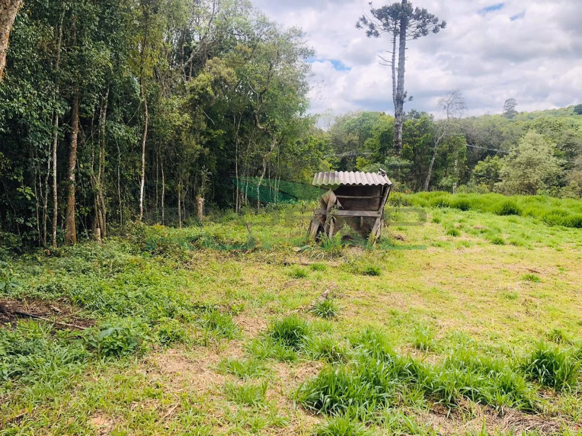Terreno de 2.000 m² em São Roque, SP
