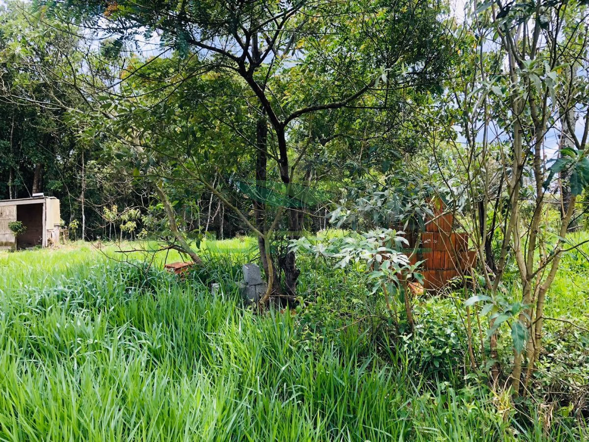 Terreno de 2.000 m² em São Roque, SP