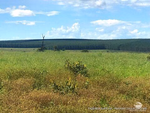 Fazenda de 9.475 ha em Água Clara, MS