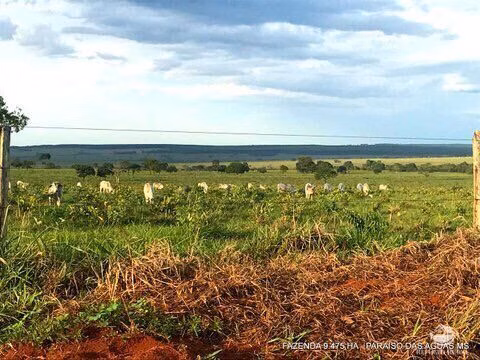 Fazenda de 9.475 ha em Água Clara, MS