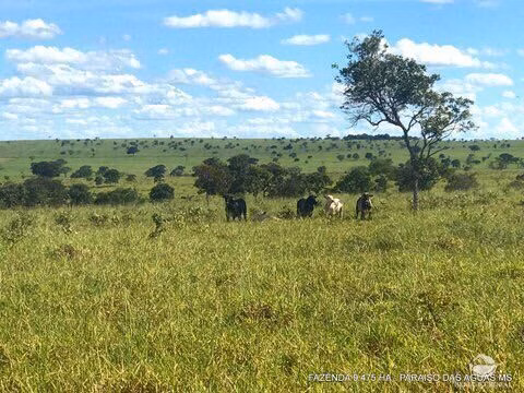 Fazenda de 9.475 ha em Água Clara, MS