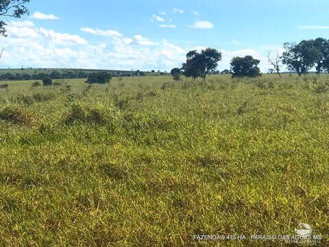 Fazenda de 9.475 ha em Água Clara, MS
