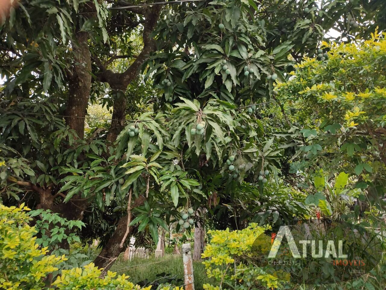 Plot of 2,335 m² in Atibaia, SP, Brazil