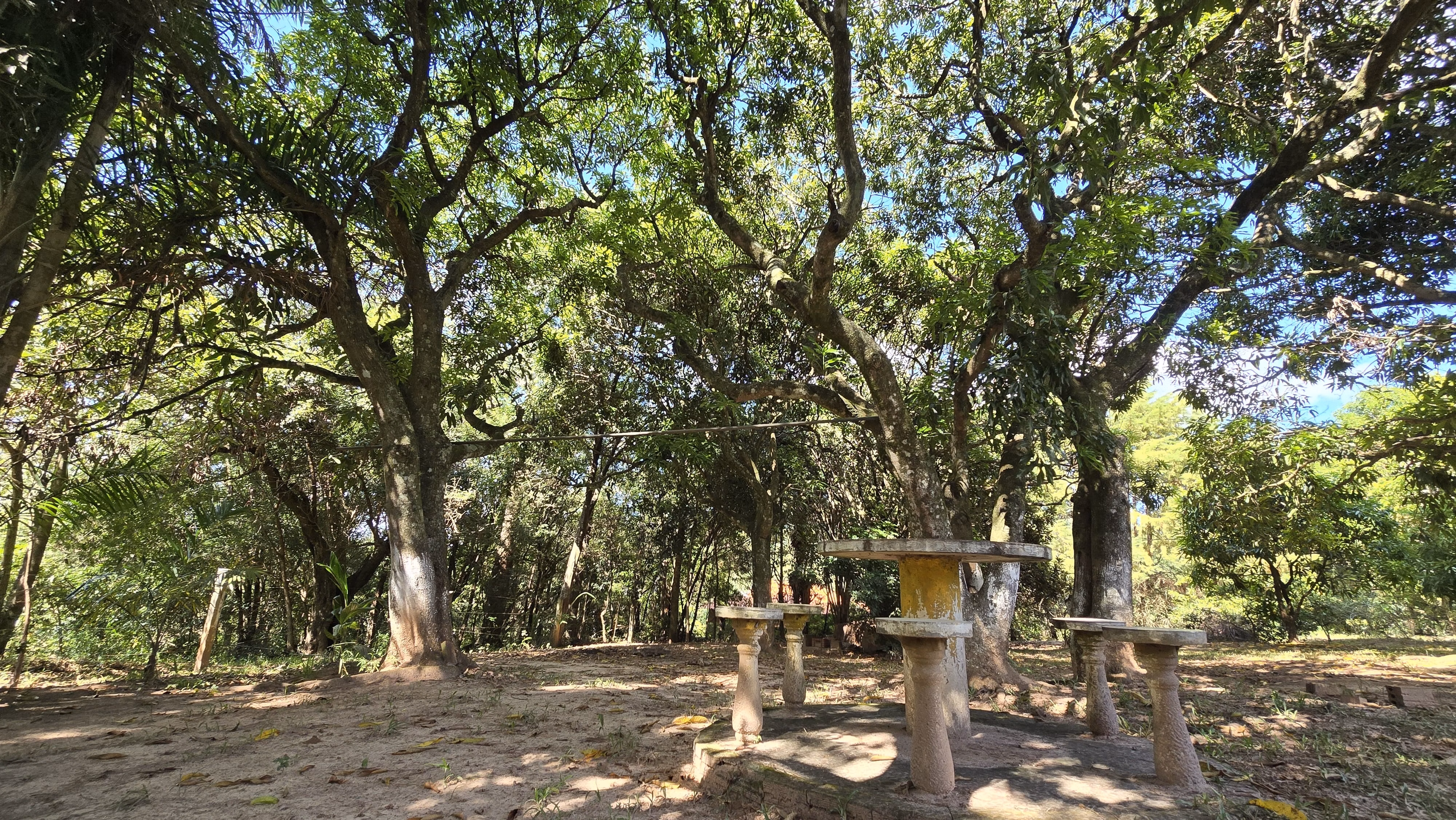 Country home of 2 acres in Siqueira Campos, PR, Brazil