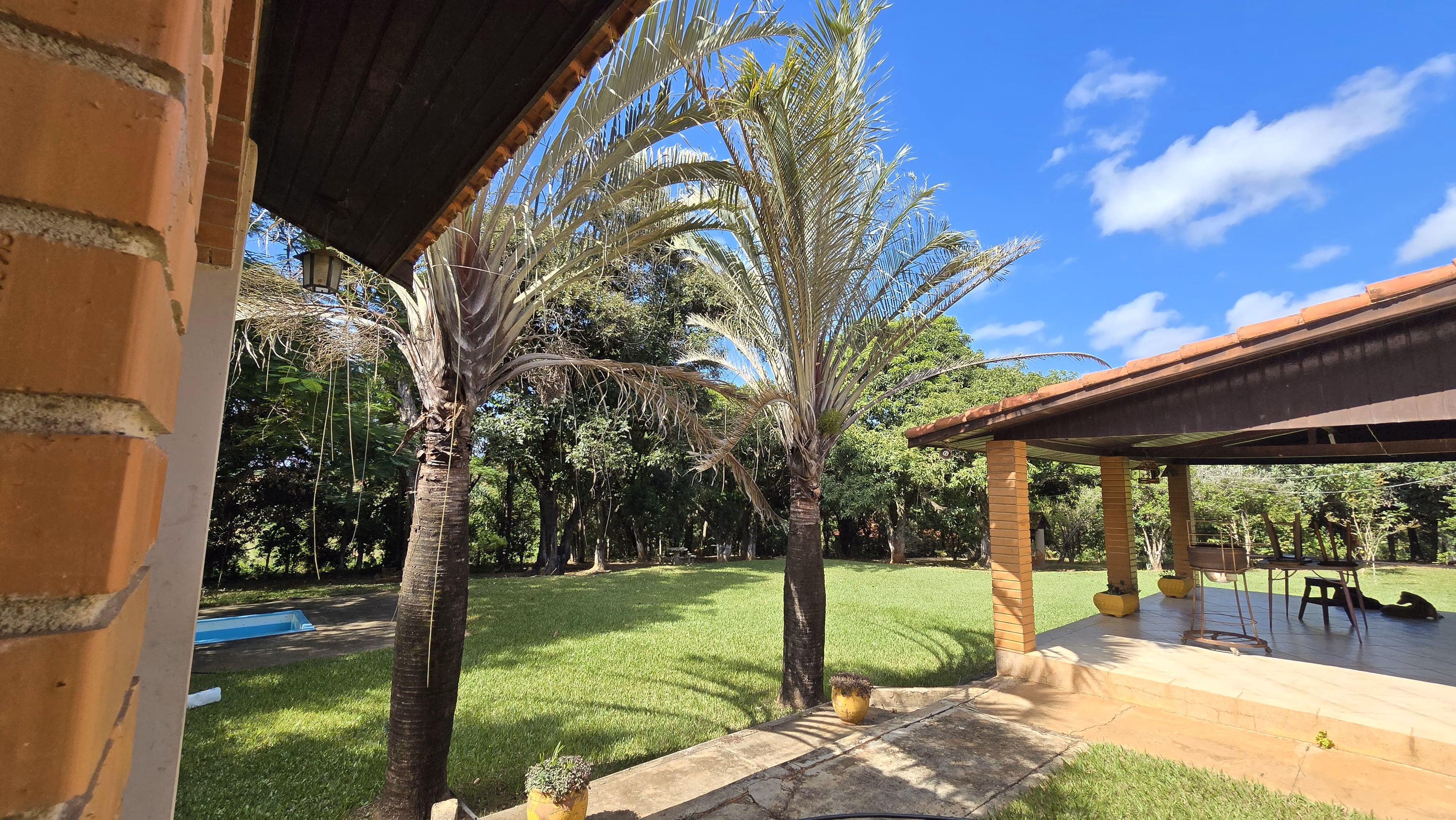 Country home of 2 acres in Siqueira Campos, PR, Brazil