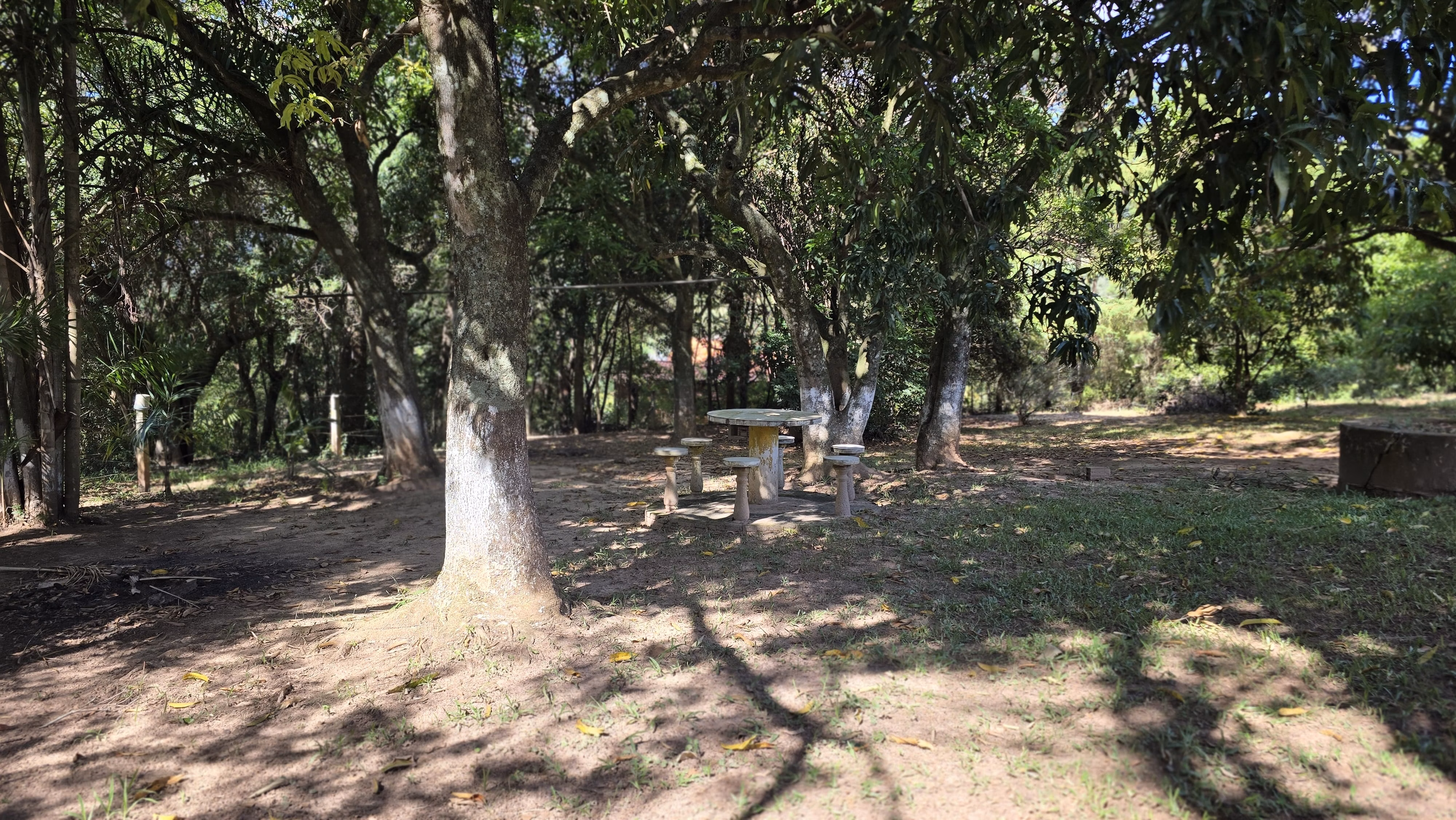 Country home of 2 acres in Siqueira Campos, PR, Brazil