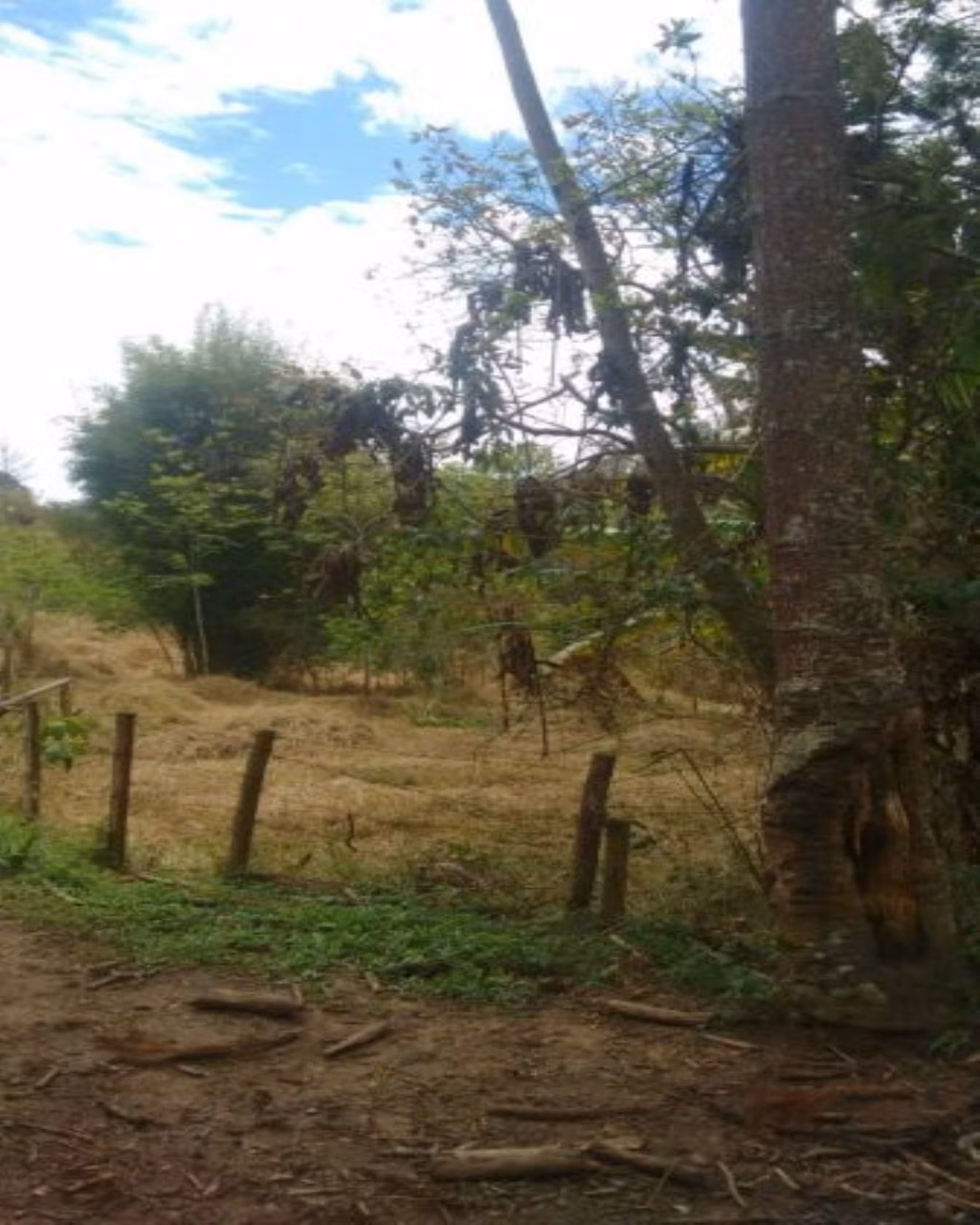Sítio de 97 ha em Lorena, SP