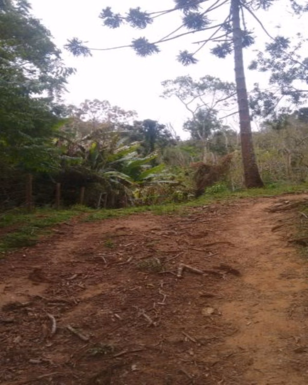 Sítio de 97 ha em Lorena, SP