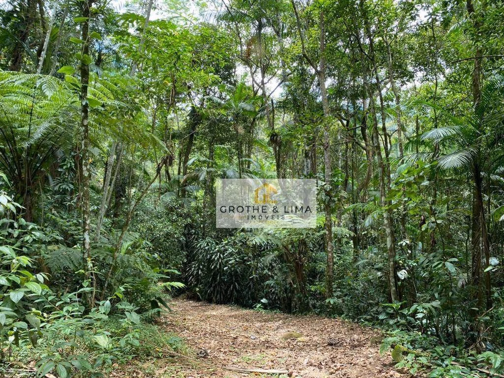 Sítio de 36 ha em Ubatuba, SP