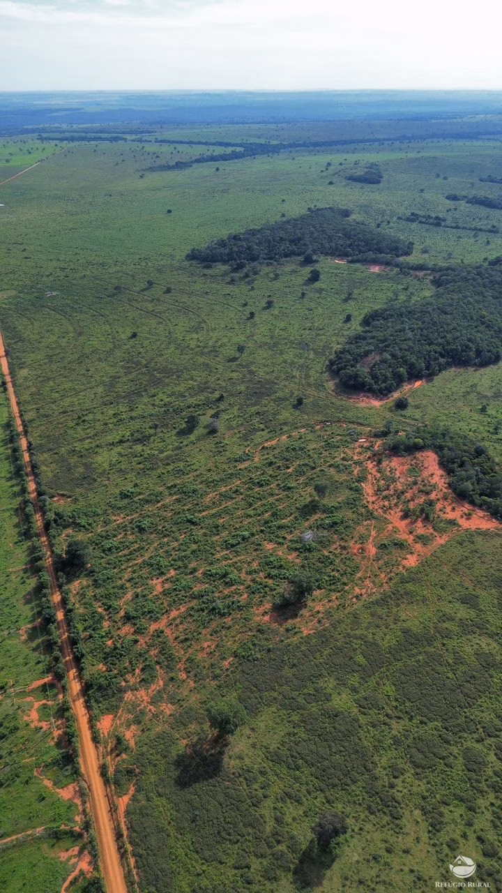 Fazenda de 4.634 ha em Novo São Joaquim, MT