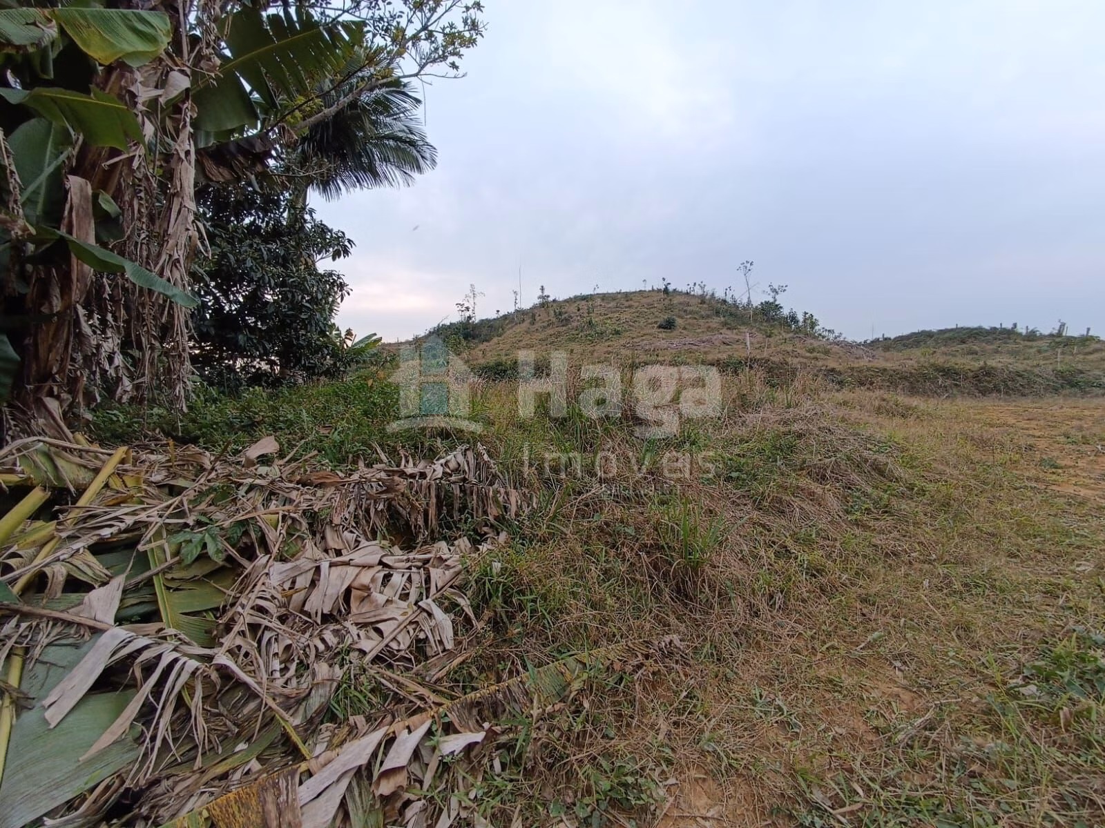 Fazenda de 10 ha em Botuverá, SC
