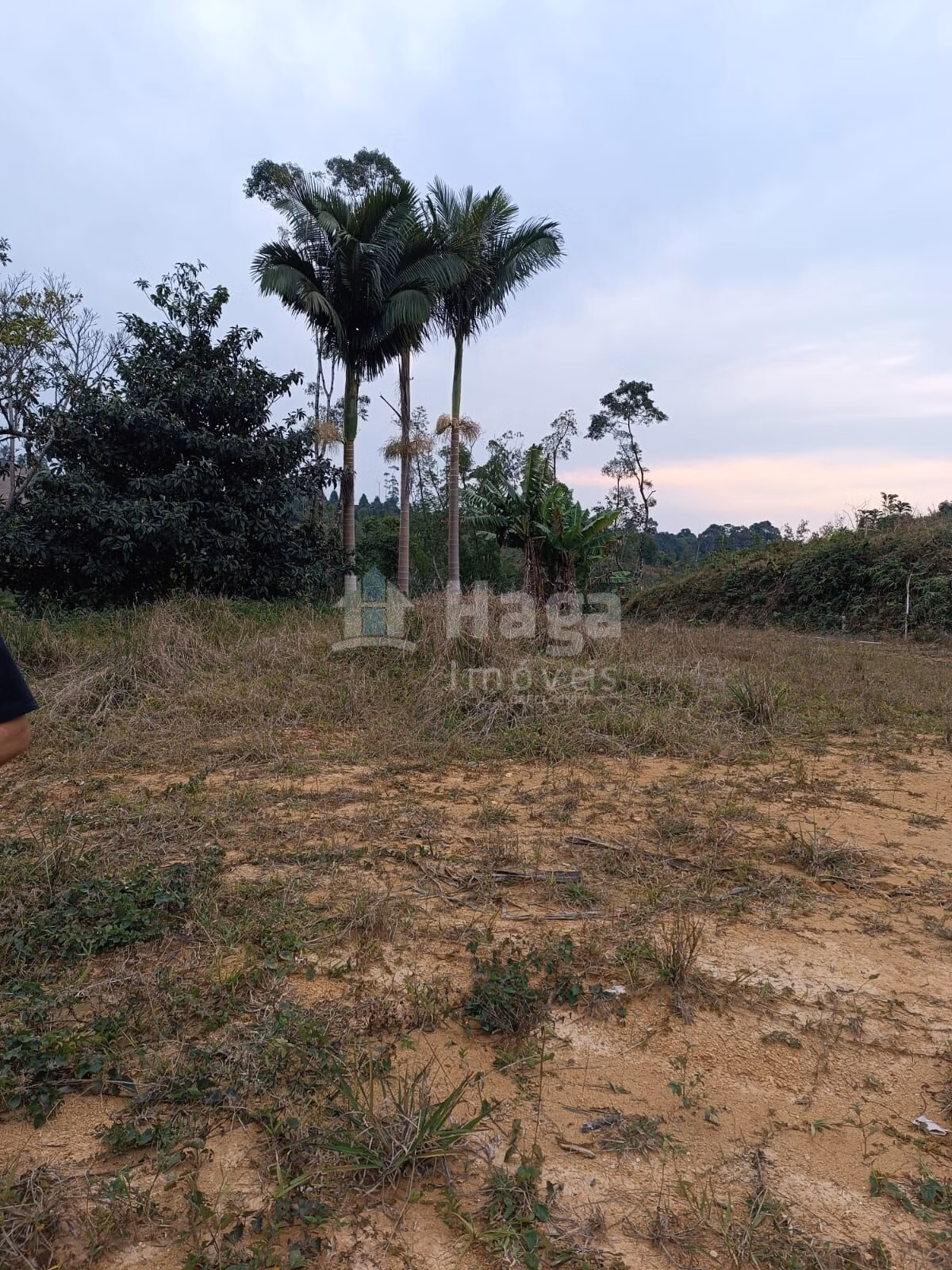 Fazenda de 10 ha em Botuverá, SC