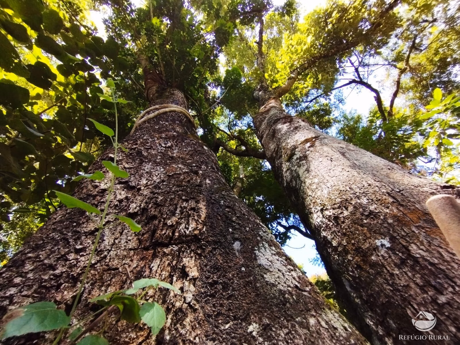 Sítio de 29 ha em Igaratá, SP
