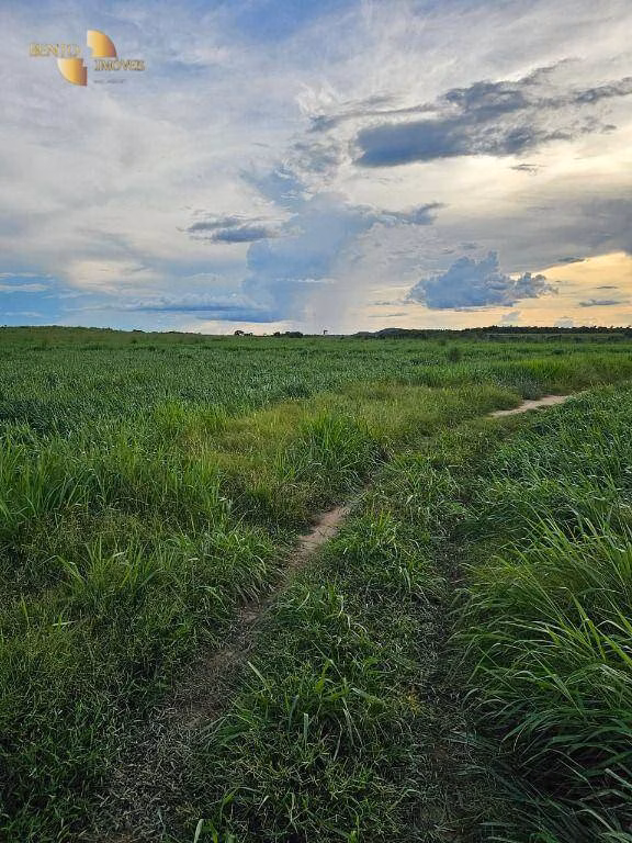 Farm of 7,413 acres in Rosário Oeste, MT, Brazil
