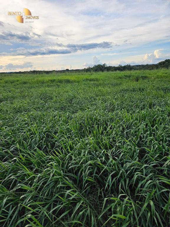 Farm of 7,413 acres in Rosário Oeste, MT, Brazil