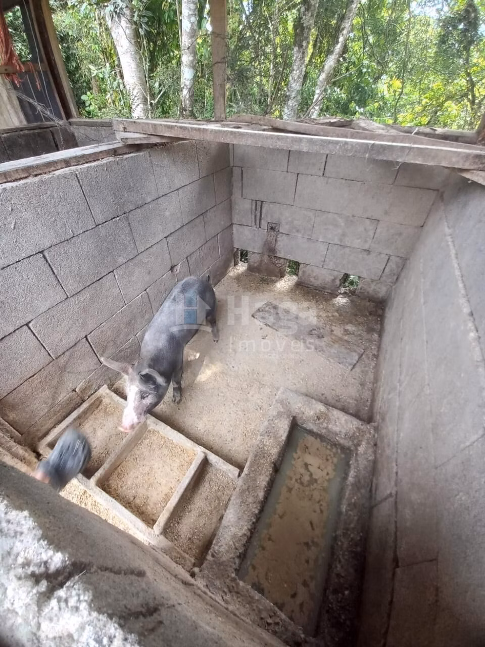Fazenda de 1 ha em Major Gercino, SC