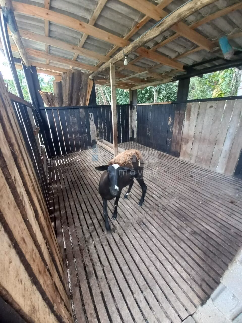 Fazenda de 1 ha em Major Gercino, SC