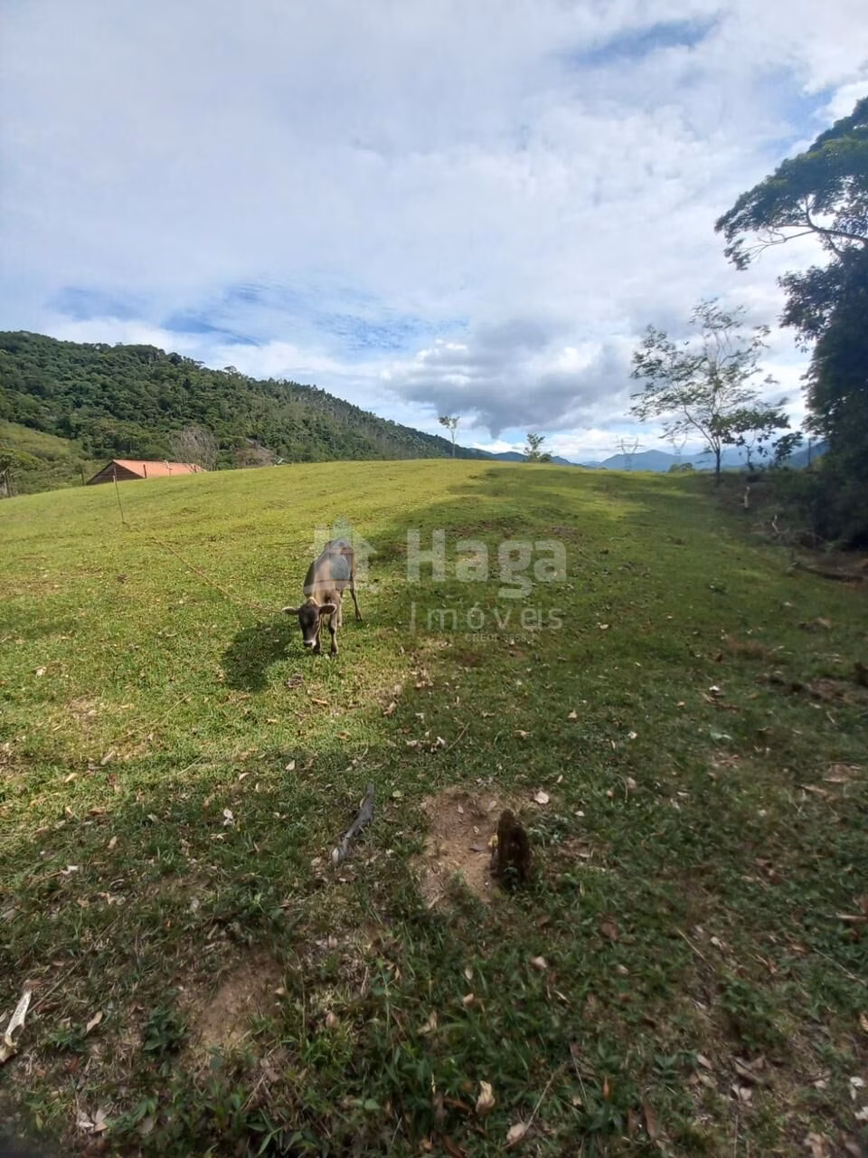 Fazenda de 1 ha em Major Gercino, SC