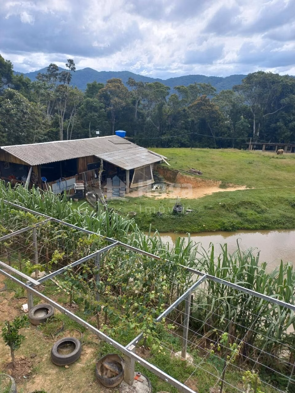 Fazenda de 1 ha em Major Gercino, SC